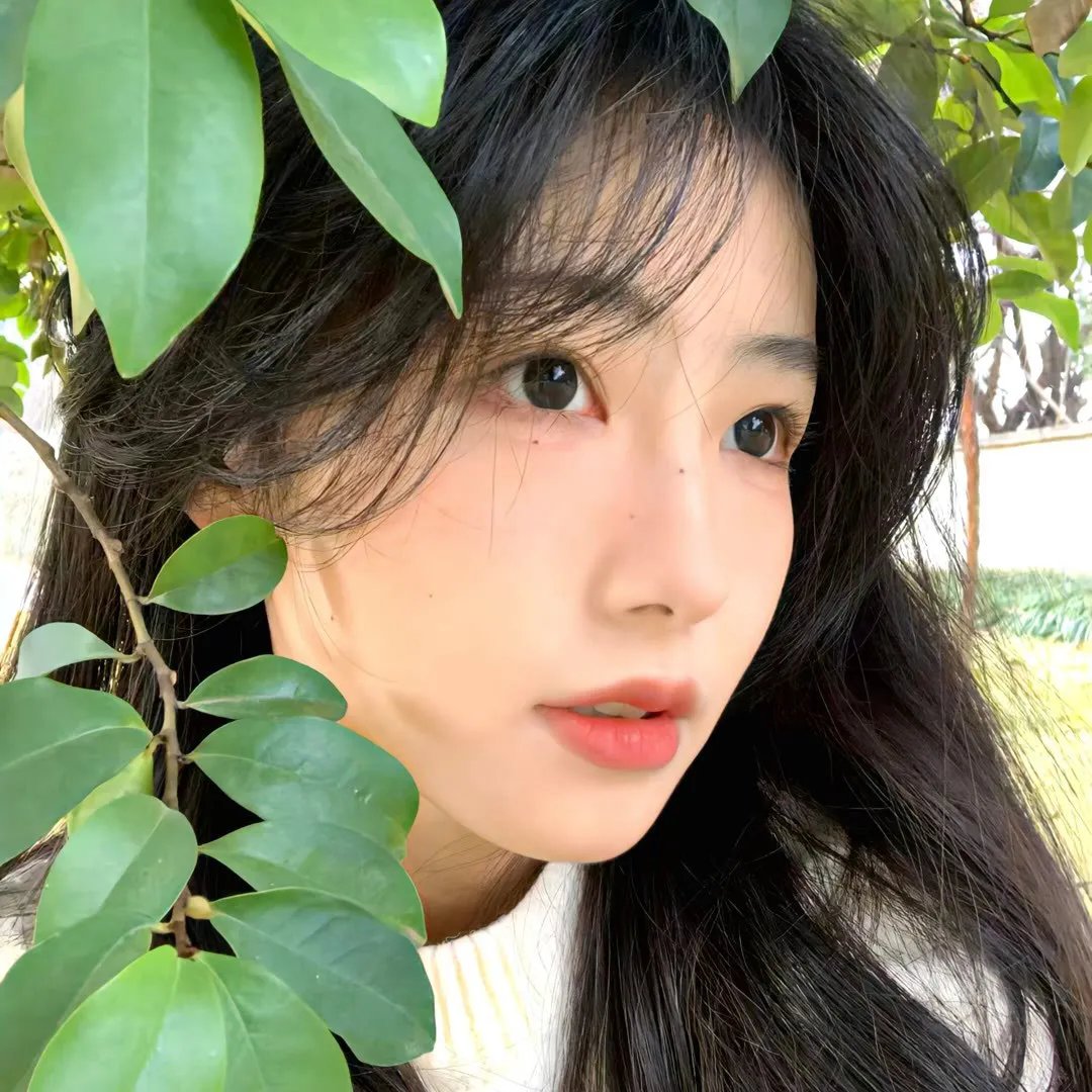 她的微笑和圈套